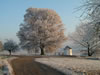 Lindenbaum Wollendorf